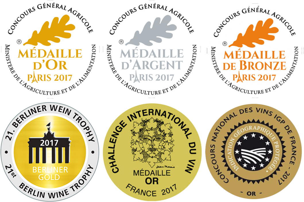 Our medals in 2017